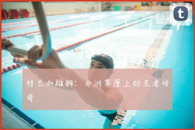 特兰加雄狮：非洲草原上的王者传奇